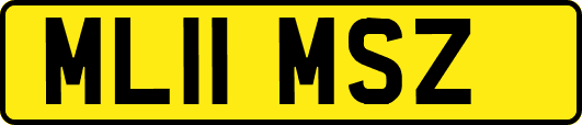 ML11MSZ