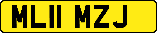 ML11MZJ