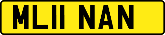 ML11NAN