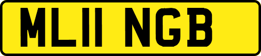ML11NGB