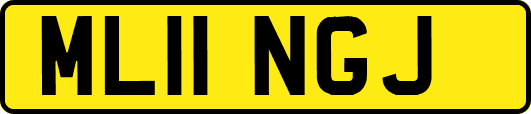 ML11NGJ