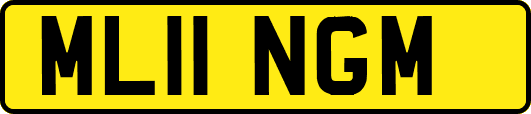 ML11NGM