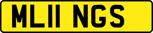 ML11NGS