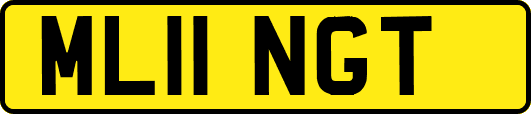 ML11NGT