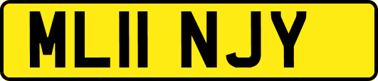 ML11NJY
