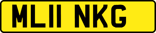 ML11NKG
