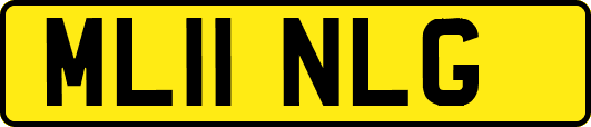 ML11NLG