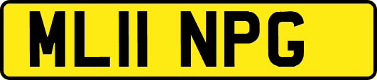 ML11NPG