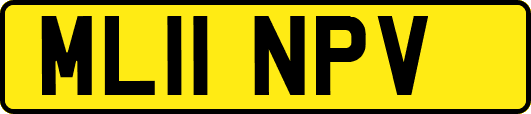 ML11NPV