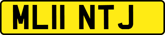 ML11NTJ
