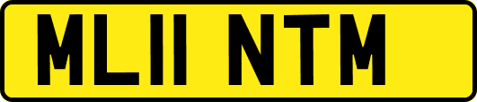 ML11NTM