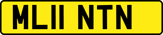 ML11NTN