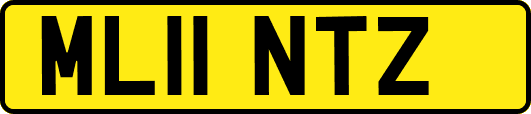 ML11NTZ