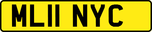 ML11NYC