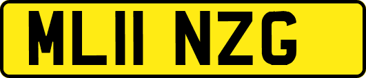 ML11NZG