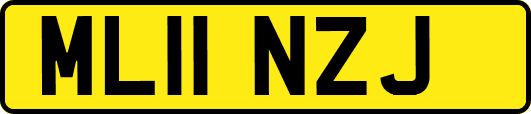ML11NZJ