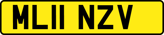 ML11NZV