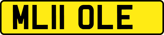 ML11OLE
