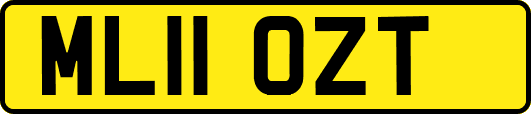 ML11OZT