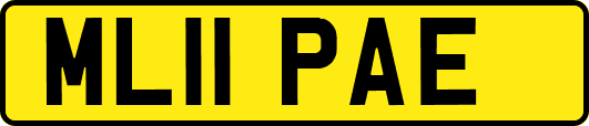 ML11PAE