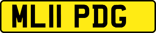 ML11PDG