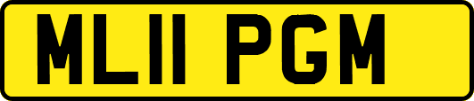 ML11PGM
