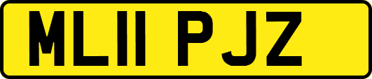 ML11PJZ