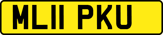 ML11PKU
