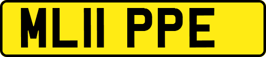 ML11PPE