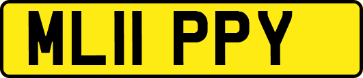 ML11PPY