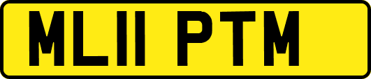 ML11PTM