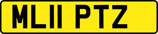 ML11PTZ
