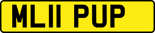 ML11PUP