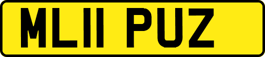 ML11PUZ