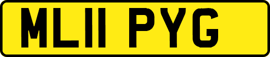 ML11PYG