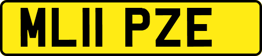 ML11PZE