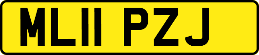 ML11PZJ