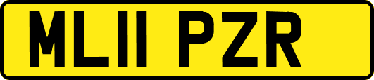 ML11PZR
