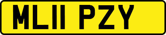 ML11PZY