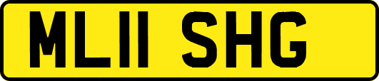 ML11SHG