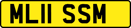 ML11SSM