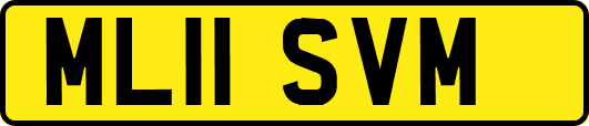 ML11SVM