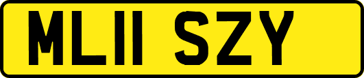 ML11SZY