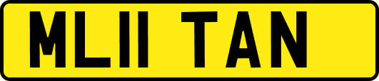 ML11TAN