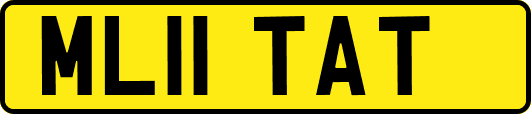 ML11TAT