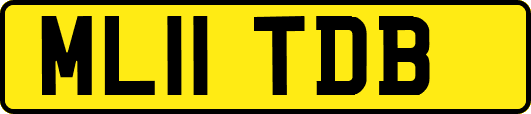 ML11TDB
