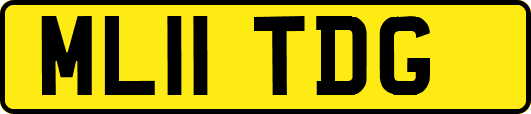 ML11TDG