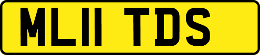 ML11TDS