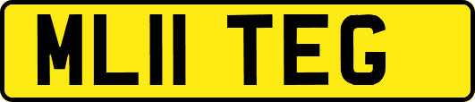 ML11TEG