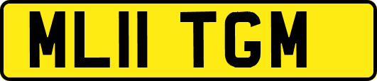 ML11TGM